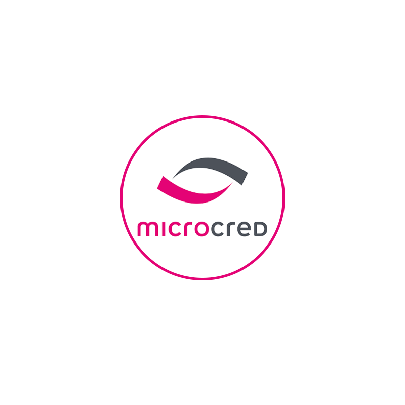 MICRO